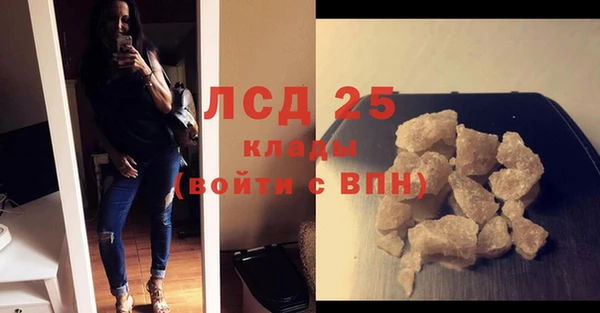 прущие грибы Ельня