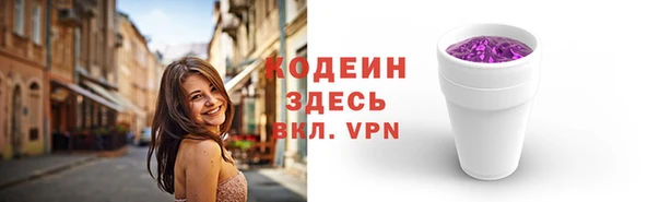 гидра Заводоуковск