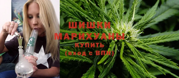 гидра Заводоуковск