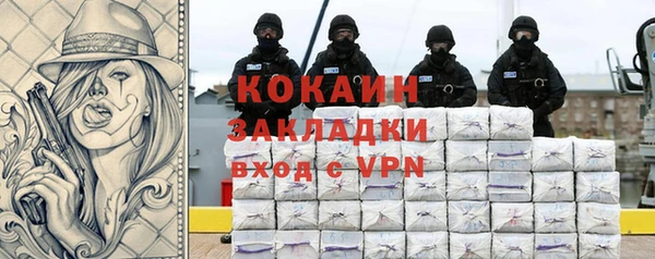 гидра Заводоуковск