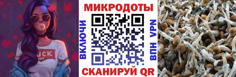купить  сайты  Бузулук  Псилоцибиновые грибы Psilocybine cubensis 